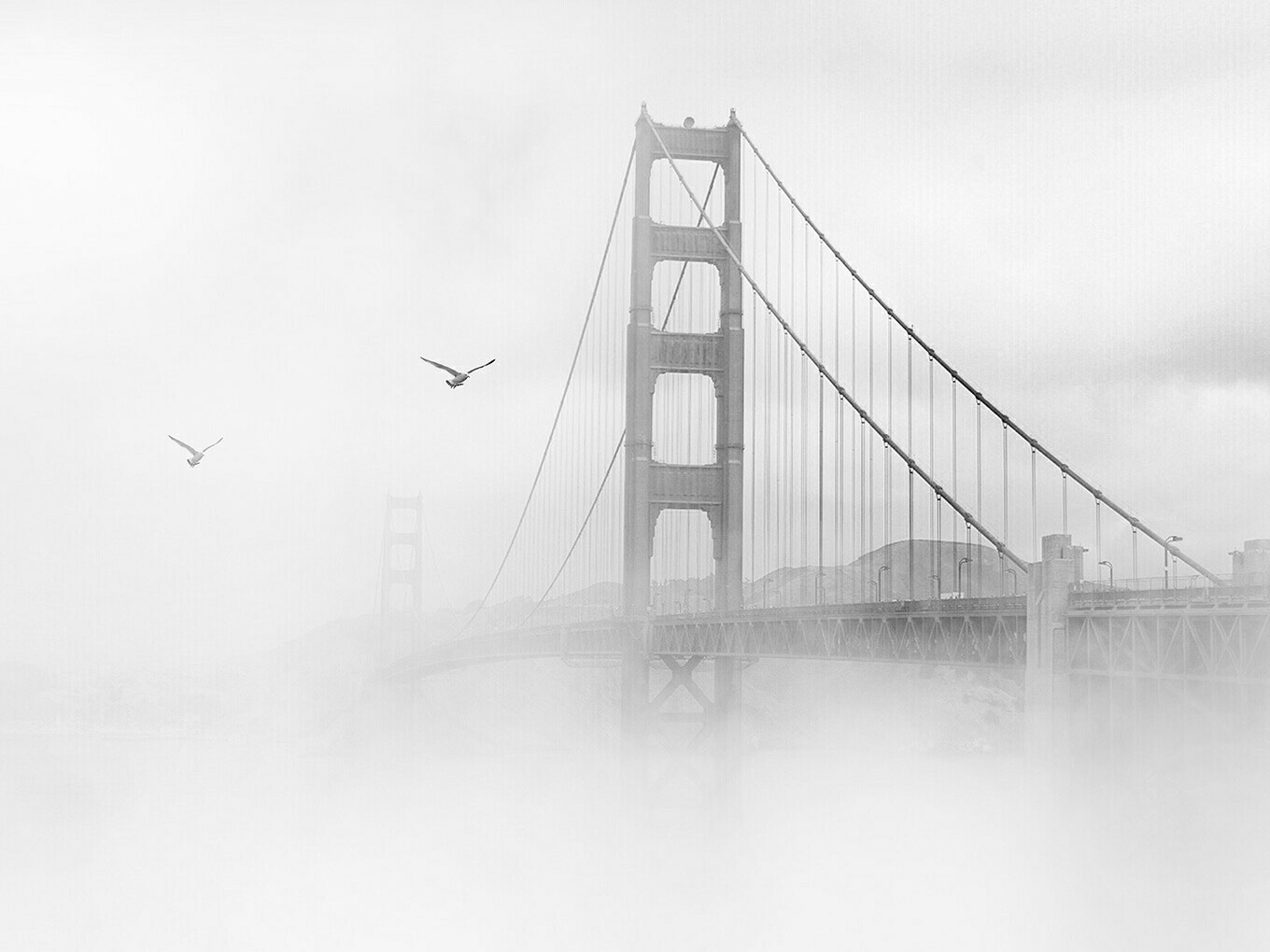 鱼怜子的个人主页（背景预览） - 主页背景设置 - 站酷设计师鱼怜子原创素材 - 站酷ZCOOL