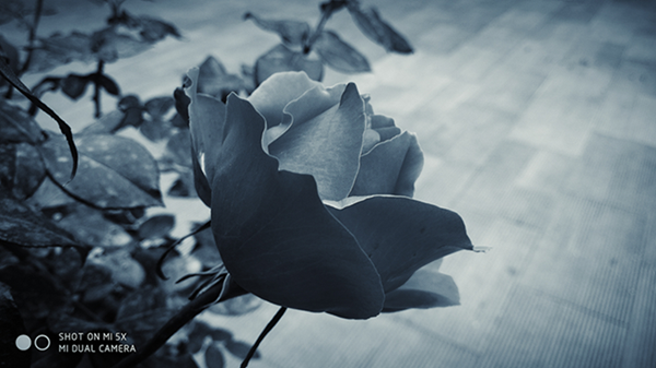 木子铃铛的个人主页（背景预览） - 主页背景设置 - 站酷设计师木子铃铛原创素材 - 站酷ZCOOL