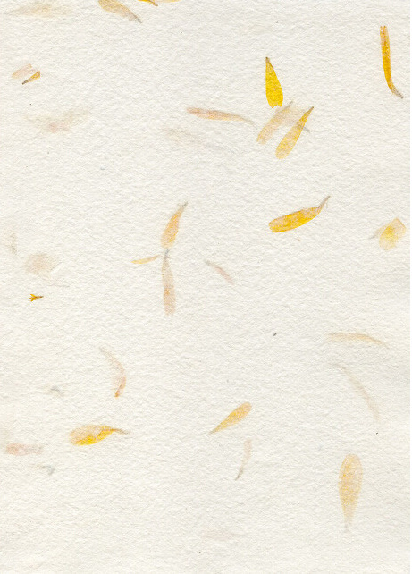 丸点Studiuo的个人主页（背景预览） - 主页背景设置 - 站酷设计师丸点Studiuo原创素材 - 站酷ZCOOL