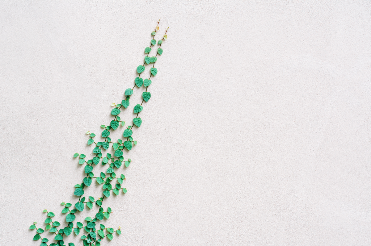 无讼设计的个人主页（背景预览） - 主页背景设置 - 站酷设计师无讼设计原创素材 - 站酷ZCOOL