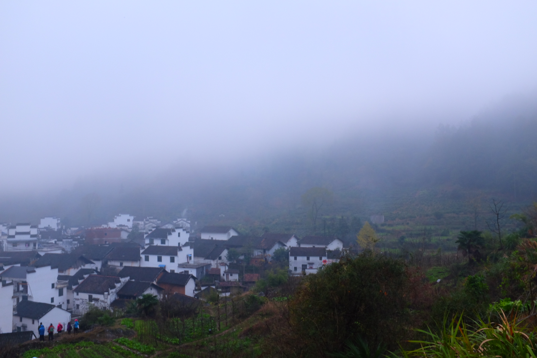 仲青兄的個(gè)人主頁(yè)（背景預(yù)覽） - 主頁(yè)背景設(shè)置 - 站酷設(shè)計(jì)師仲青兄原創(chuàng)素材 - 站酷ZCOOL