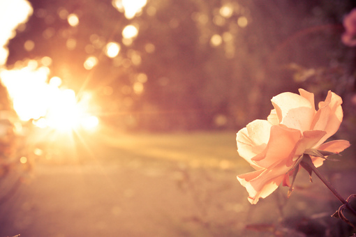 slanp7的个人主页（背景预览） - 主页背景设置 - 站酷设计师slanp7原创素材 - 站酷ZCOOL