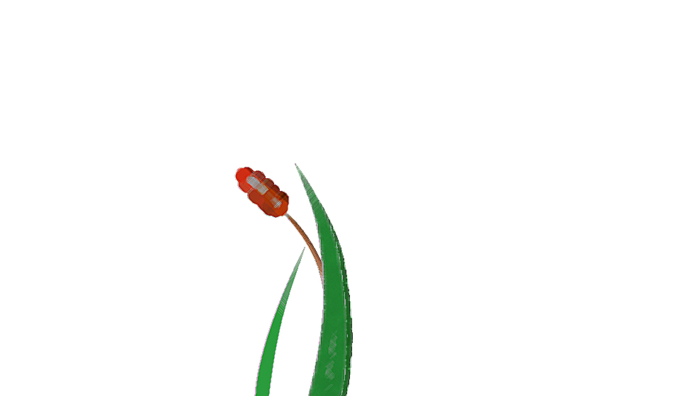 博曰的个人主页（背景预览） - 主页背景设置 - 站酷设计师博曰原创素材 - 站酷ZCOOL