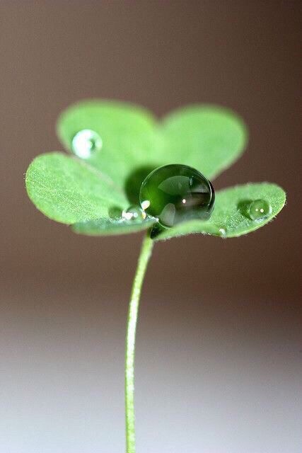 南有喬木莞爾成思的個(gè)人主頁（背景預(yù)覽） - 主頁背景設(shè)置 - 站酷設(shè)計(jì)師南有喬木莞爾成思原創(chuàng)素材 - 站酷ZCOOL