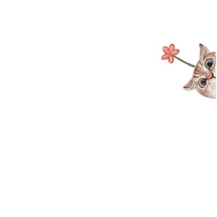 ft醬的個人主頁（背景預(yù)覽） - 主頁背景設(shè)置 - 站酷設(shè)計師ft醬原創(chuàng)素材 - 站酷ZCOOL