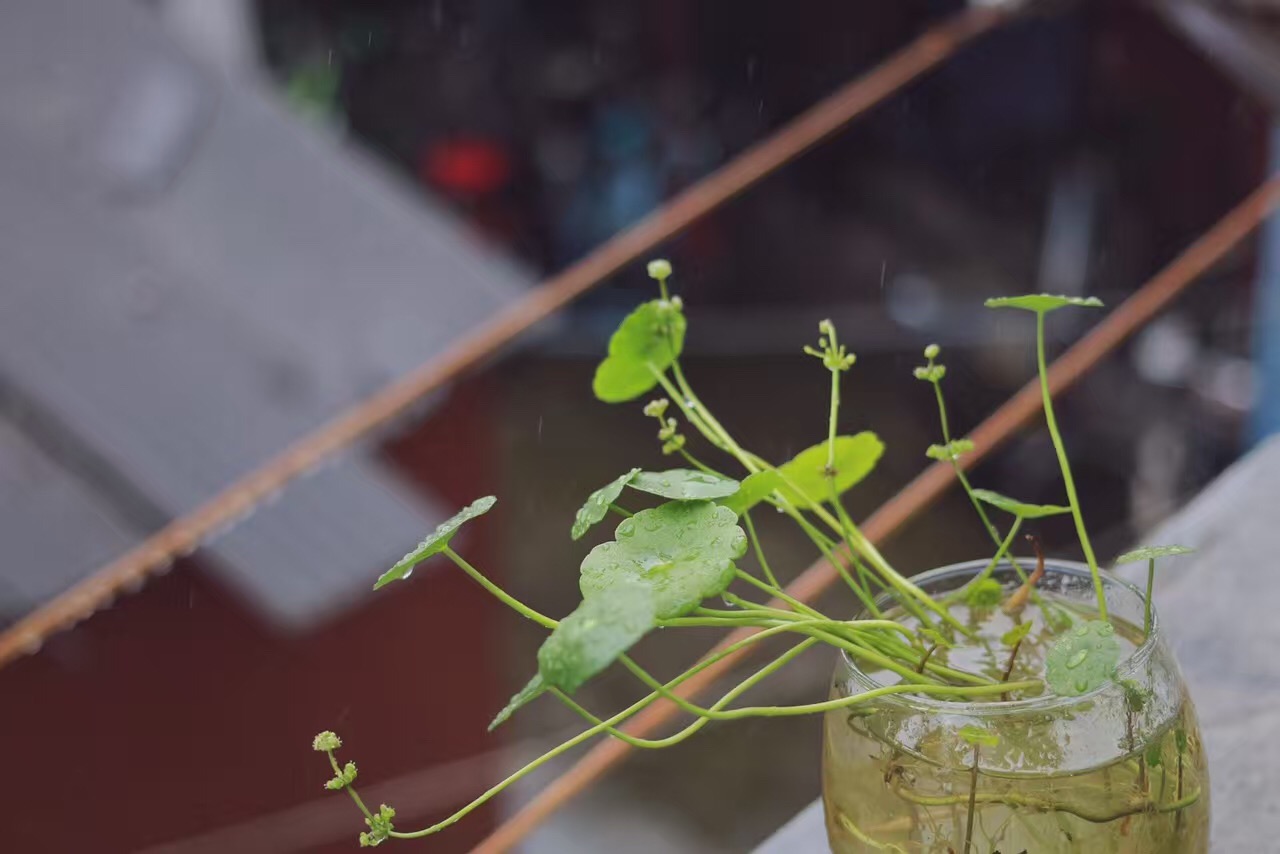 吉吉chenjie的個人主頁（背景預(yù)覽） - 主頁背景設(shè)置 - 站酷設(shè)計師吉吉chenjie原創(chuàng)素材 - 站酷ZCOOL