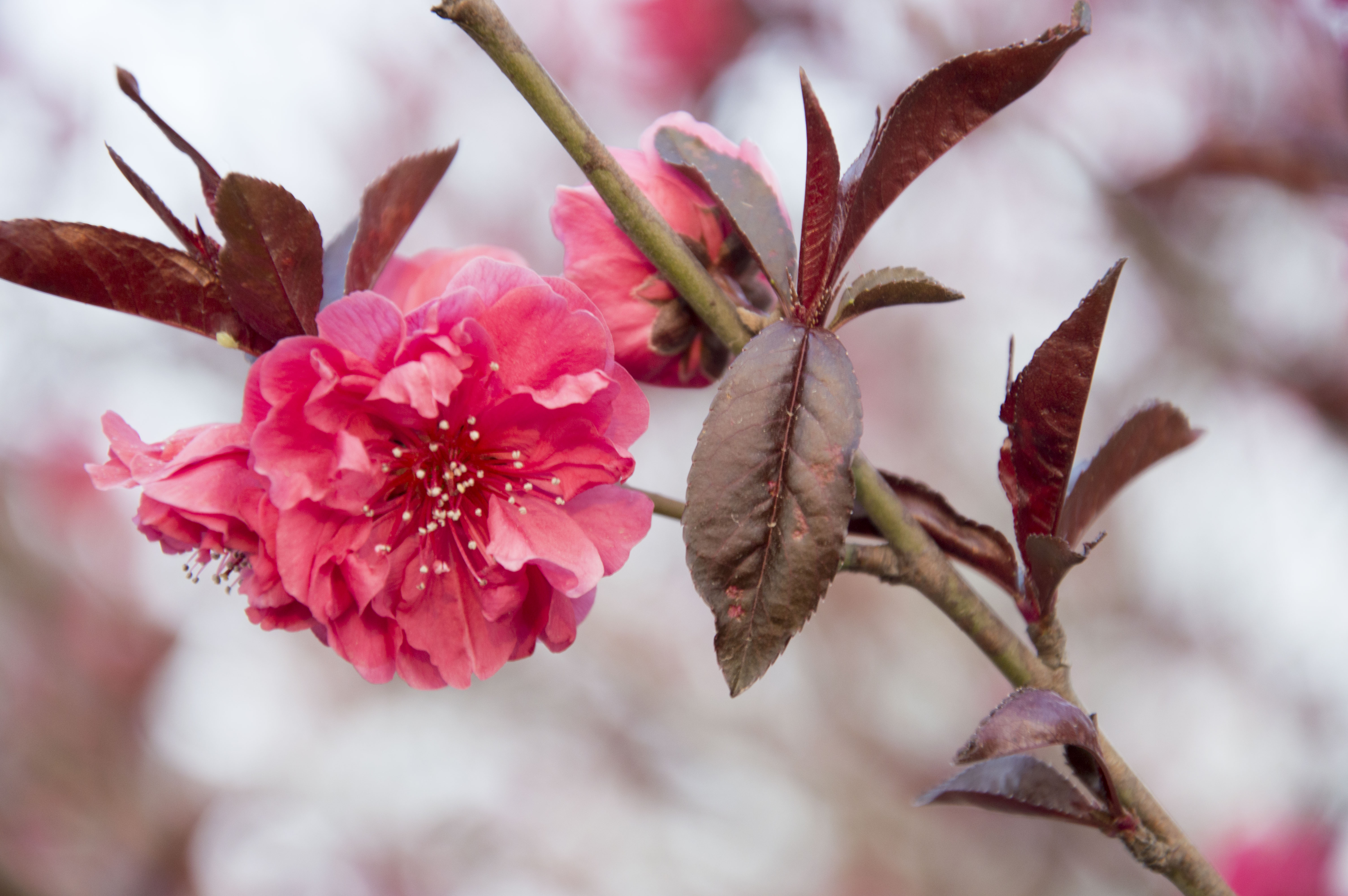 leosky艾斯的个人主页（背景预览） - 主页背景设置 - 站酷设计师leosky艾斯原创素材 - 站酷ZCOOL