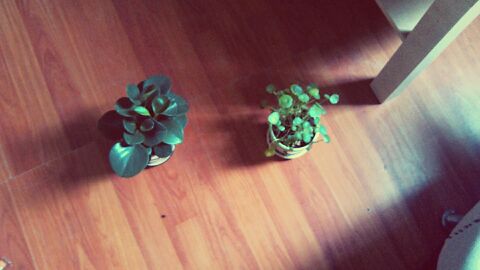 又易棵草的個人主頁（背景預(yù)覽） - 主頁背景設(shè)置 - 站酷設(shè)計師又易棵草原創(chuàng)素材 - 站酷ZCOOL