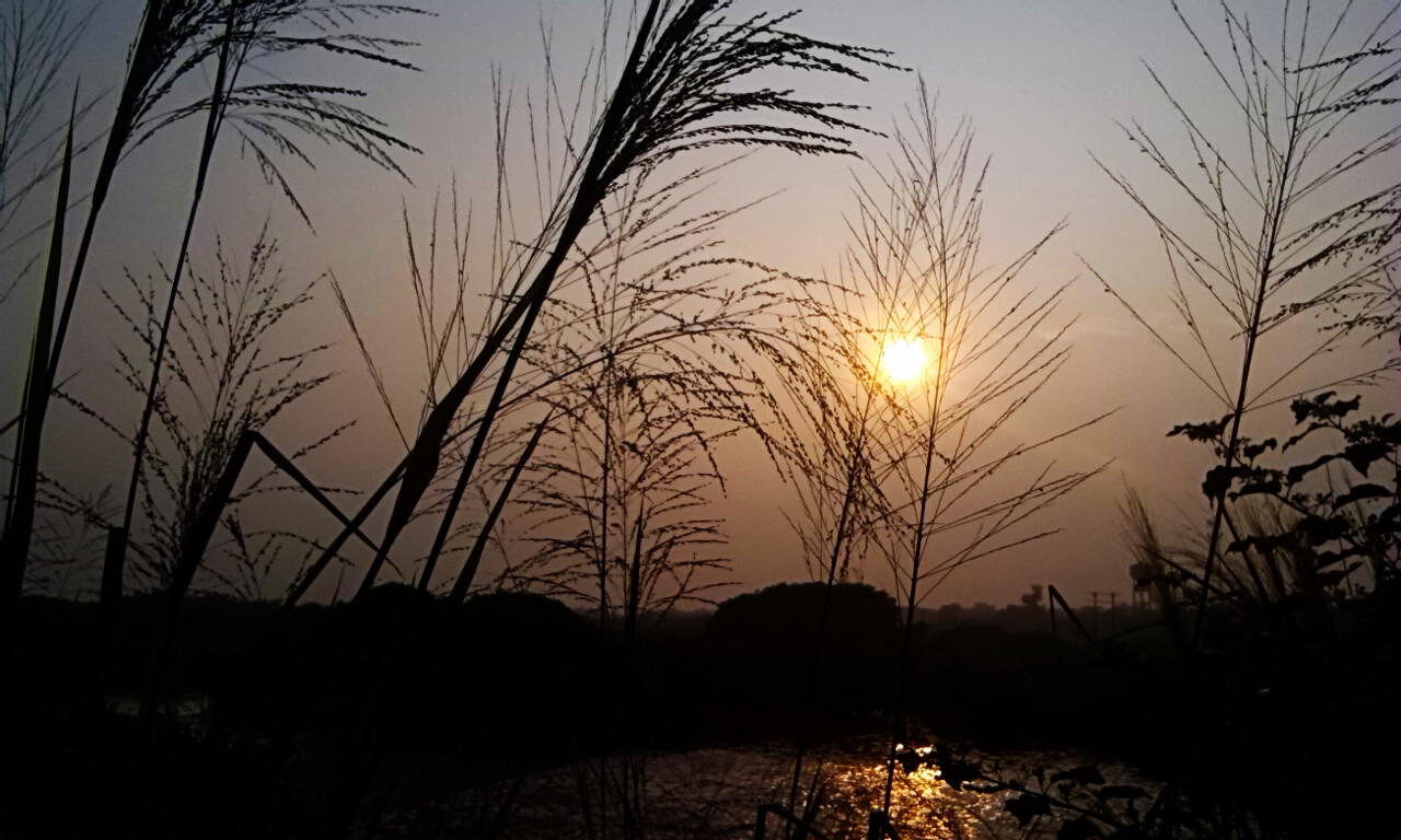 逸言的个人主页（背景预览） - 主页背景设置 - 站酷设计师逸言原创素材 - 站酷ZCOOL