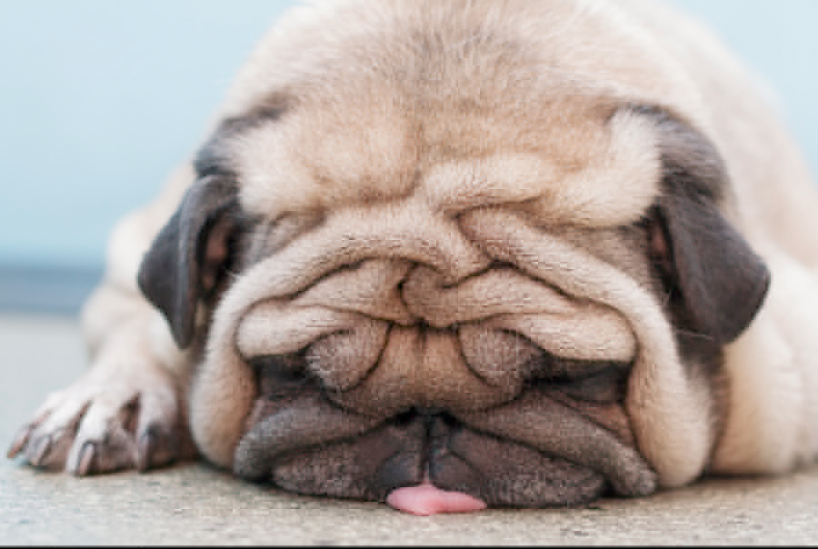 雷小宅的个人主页（背景预览） - 主页背景设置 - 站酷设计师雷小宅原创素材 - 站酷ZCOOL