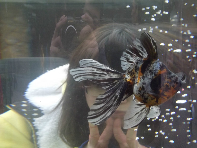 哇糖糖的個(gè)人主頁(yè)（背景預(yù)覽） - 主頁(yè)背景設(shè)置 - 站酷設(shè)計(jì)師哇糖糖原創(chuàng)素材 - 站酷ZCOOL