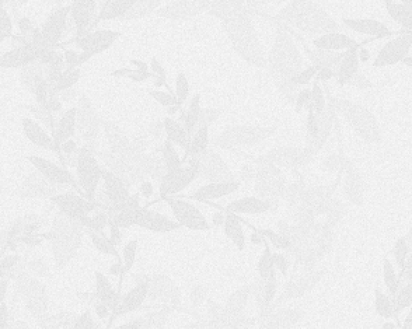 螃蟹妈妈的个人主页（背景预览） - 主页背景设置 - 站酷设计师螃蟹妈妈原创素材 - 站酷ZCOOL