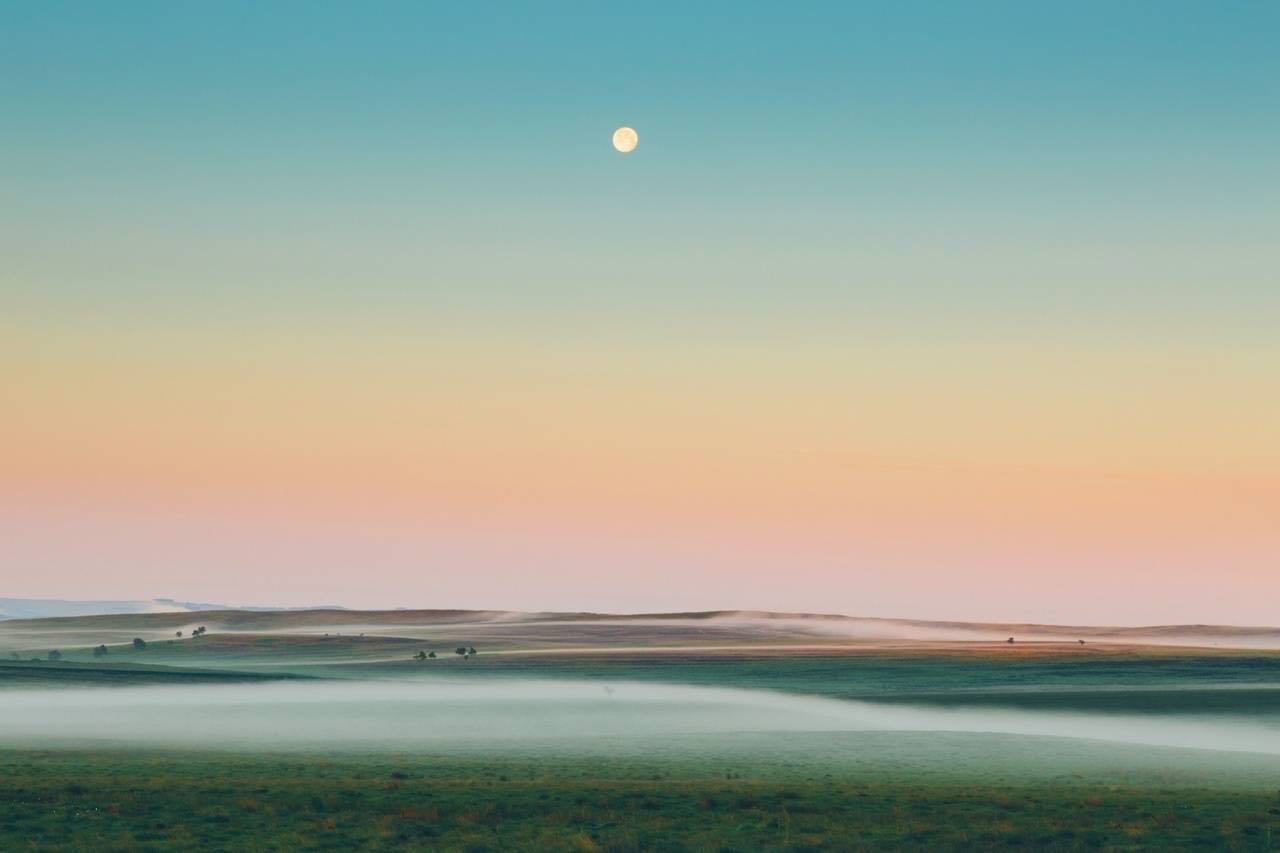 荔枝litchii的個(gè)人主頁(yè)（背景預(yù)覽） - 主頁(yè)背景設(shè)置 - 站酷設(shè)計(jì)師荔枝litchii原創(chuàng)素材 - 站酷ZCOOL