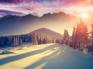 馄饨煮泡芙的个人主页（背景预览） - 主页背景设置 - 站酷设计师馄饨煮泡芙原创素材 - 站酷ZCOOL