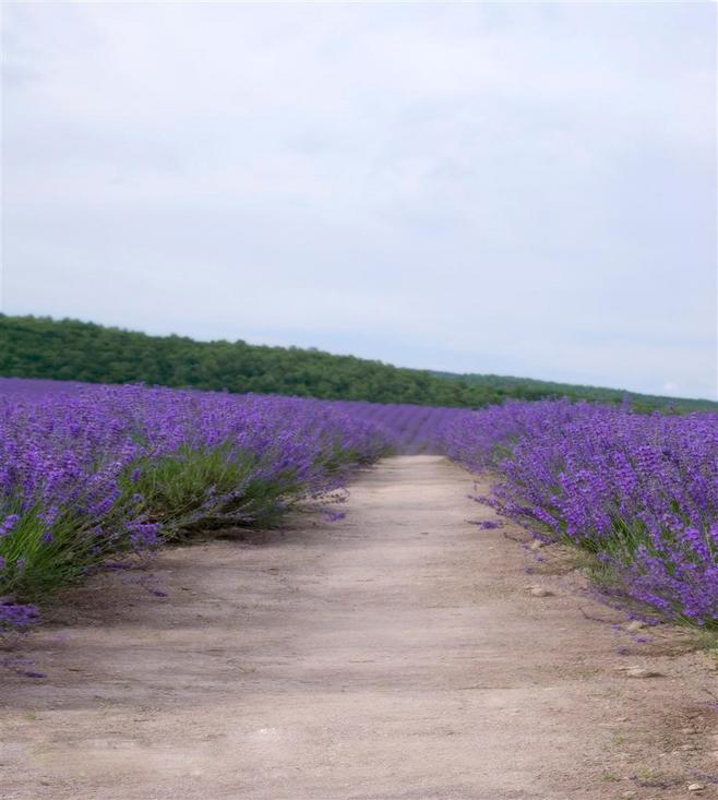 Missing520的個人主頁（背景預(yù)覽） - 主頁背景設(shè)置 - 站酷設(shè)計師Missing520原創(chuàng)素材 - 站酷ZCOOL