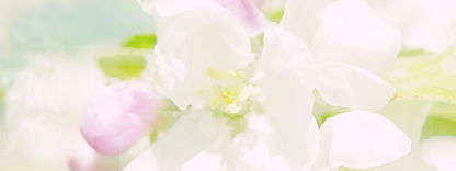 Felicezjp的个人主页（背景预览） - 主页背景设置 - 站酷设计师Felicezjp原创素材 - 站酷ZCOOL