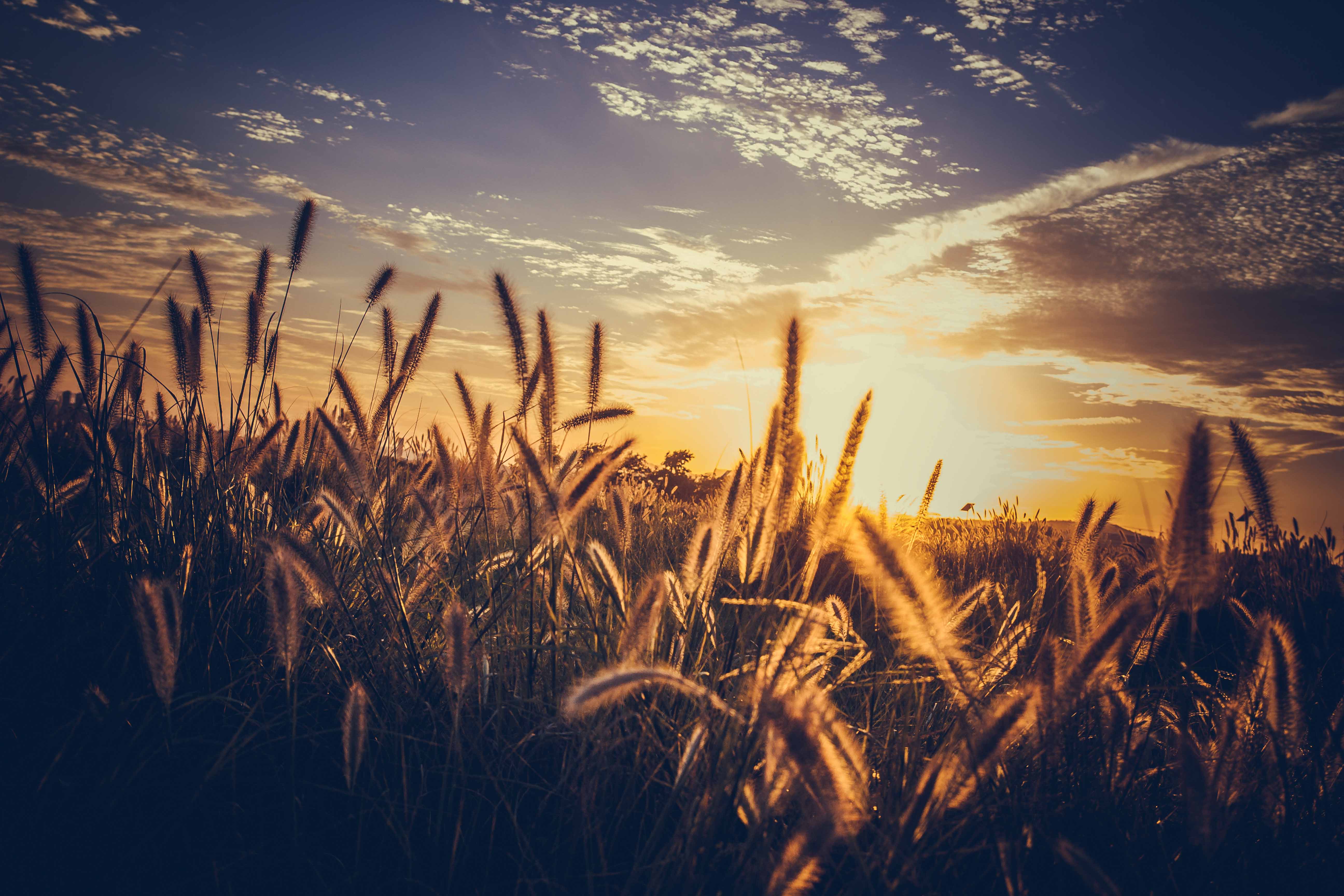 瑞查德帕克Real的个人主页（背景预览） - 主页背景设置 - 站酷设计师瑞查德帕克Real原创素材 - 站酷ZCOOL