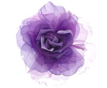 jane199507的个人主页（背景预览） - 主页背景设置 - 站酷设计师jane199507原创素材 - 站酷ZCOOL