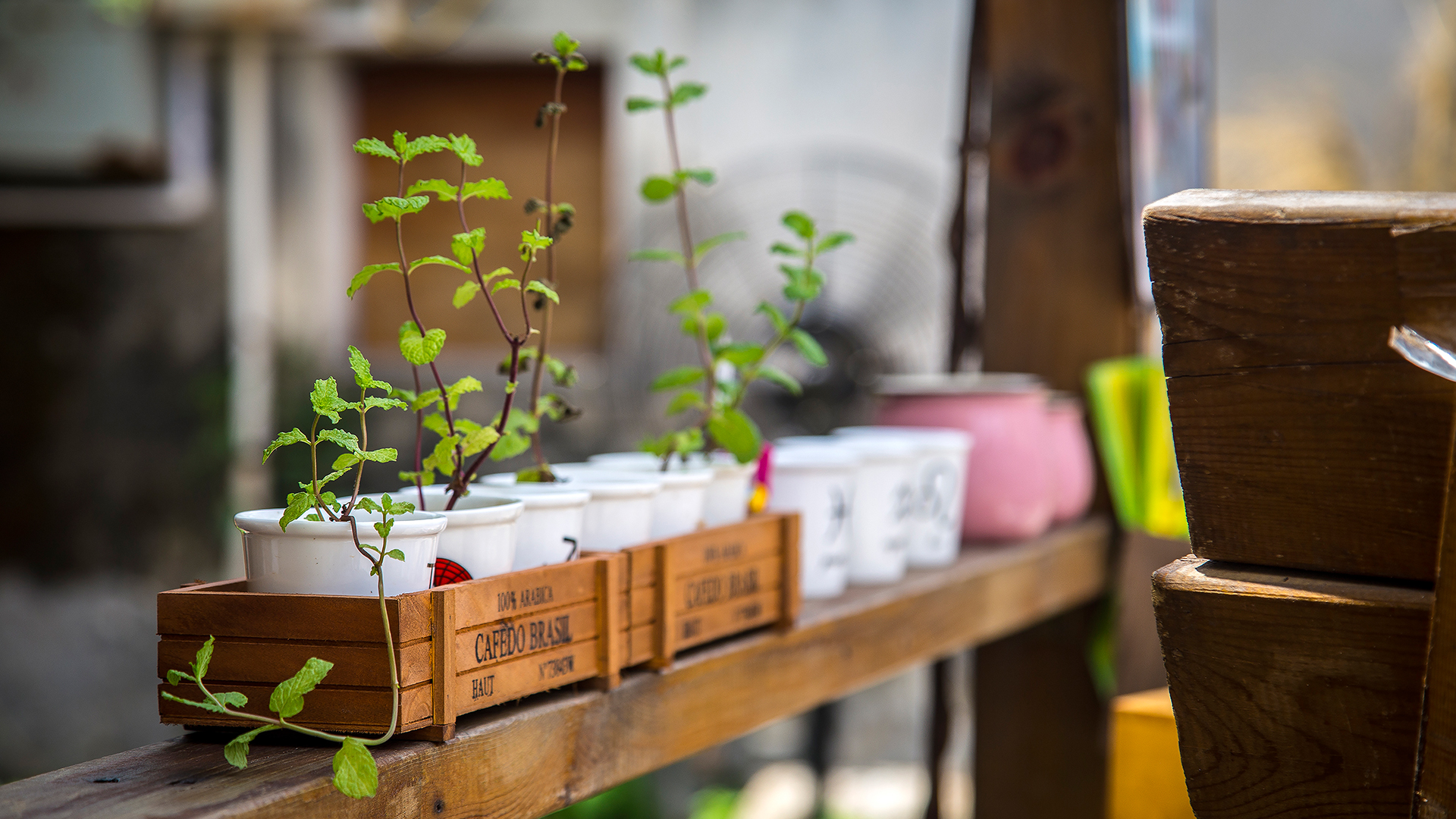 HINS丨軒的個人主頁（背景預覽） - 主頁背景設置 - 站酷設計師HINS丨軒原創(chuàng)素材 - 站酷ZCOOL