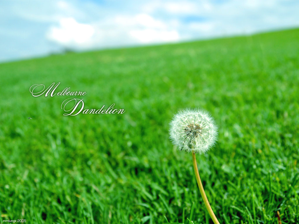 272743108的个人主页（背景预览） - 主页背景设置 - 站酷设计师272743108原创素材 - 站酷ZCOOL