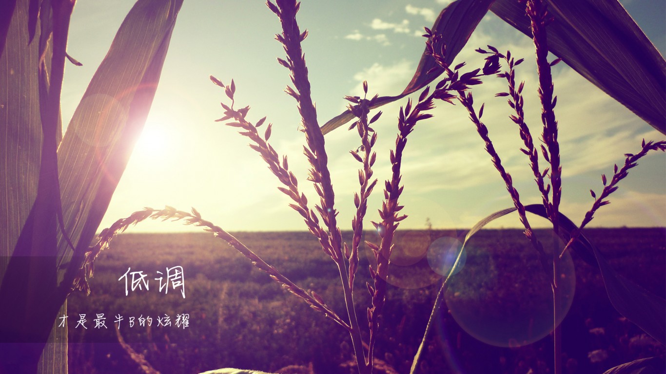 已有账户124的个人主页（背景预览） - 主页背景设置 - 站酷设计师已有账户124原创素材 - 站酷ZCOOL