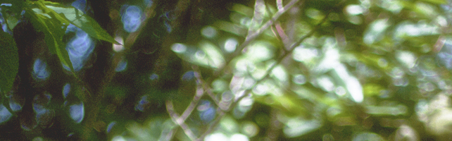 陈子钊的个人主页（背景预览） - 主页背景设置 - 站酷设计师陈子钊原创素材 - 站酷ZCOOL