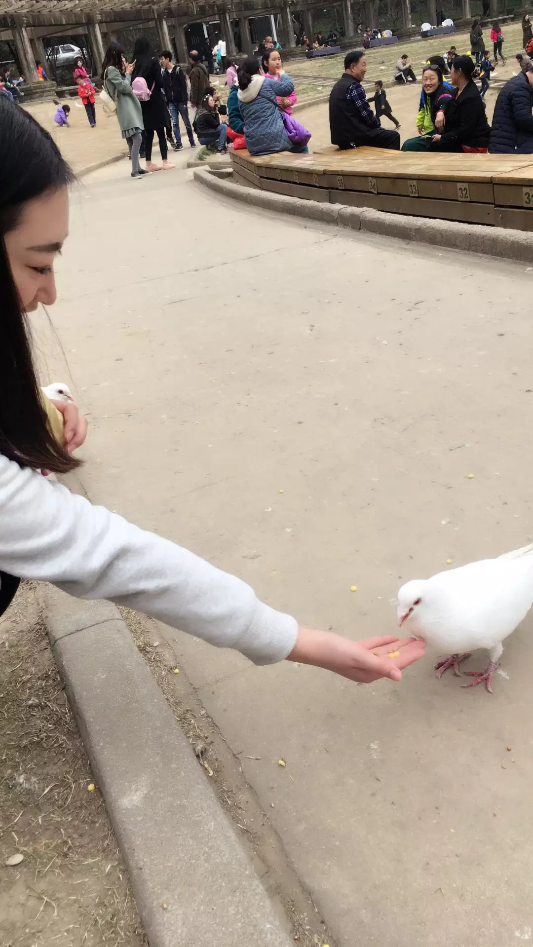 jiangkunyue的個人主頁（背景預覽） - 主頁背景設置 - 站酷設計師jiangkunyue原創(chuàng)素材 - 站酷ZCOOL