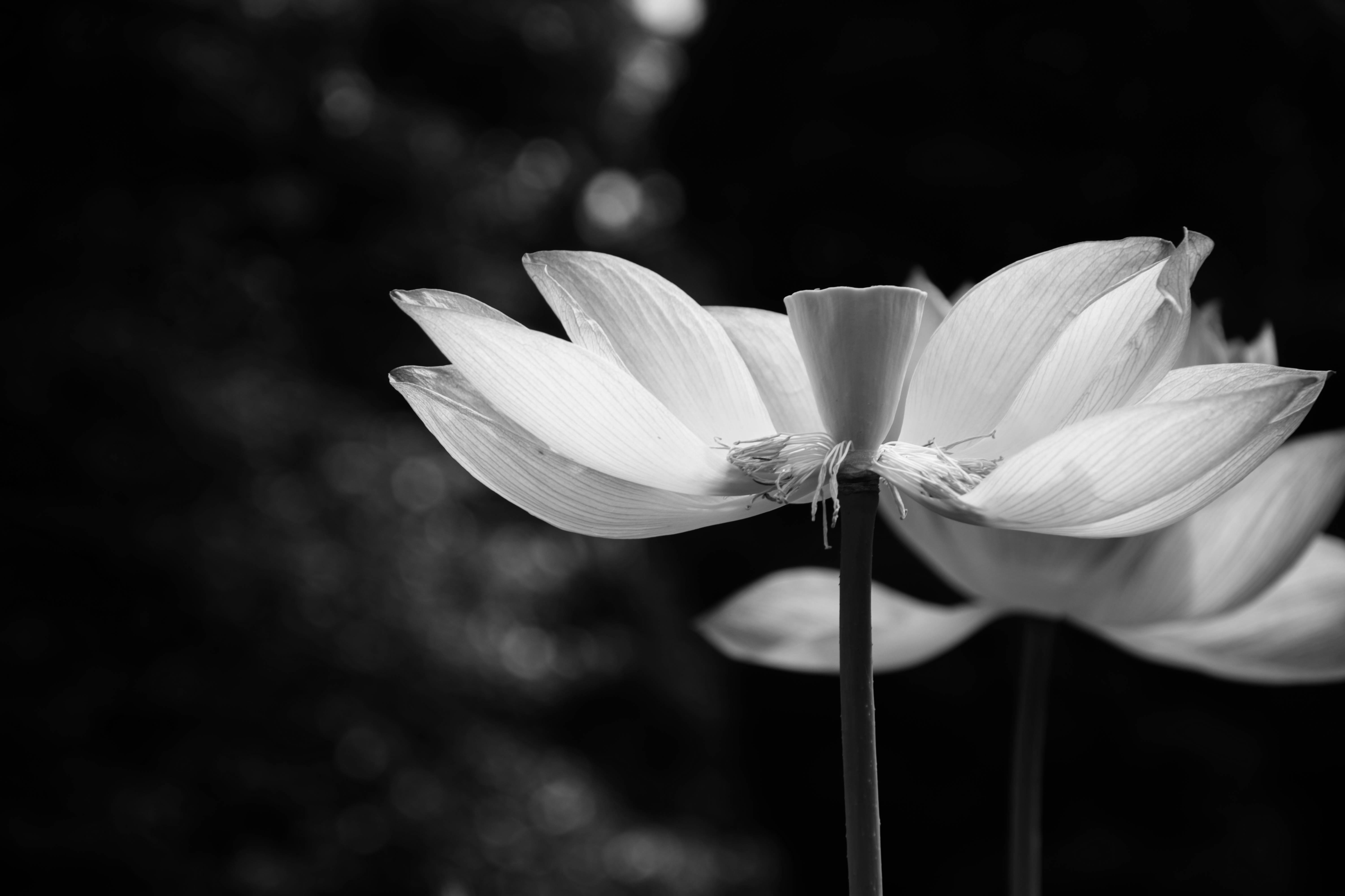 東東設計的個人主頁（背景預覽） - 主頁背景設置 - 站酷設計師東東設計原創(chuàng)素材 - 站酷ZCOOL