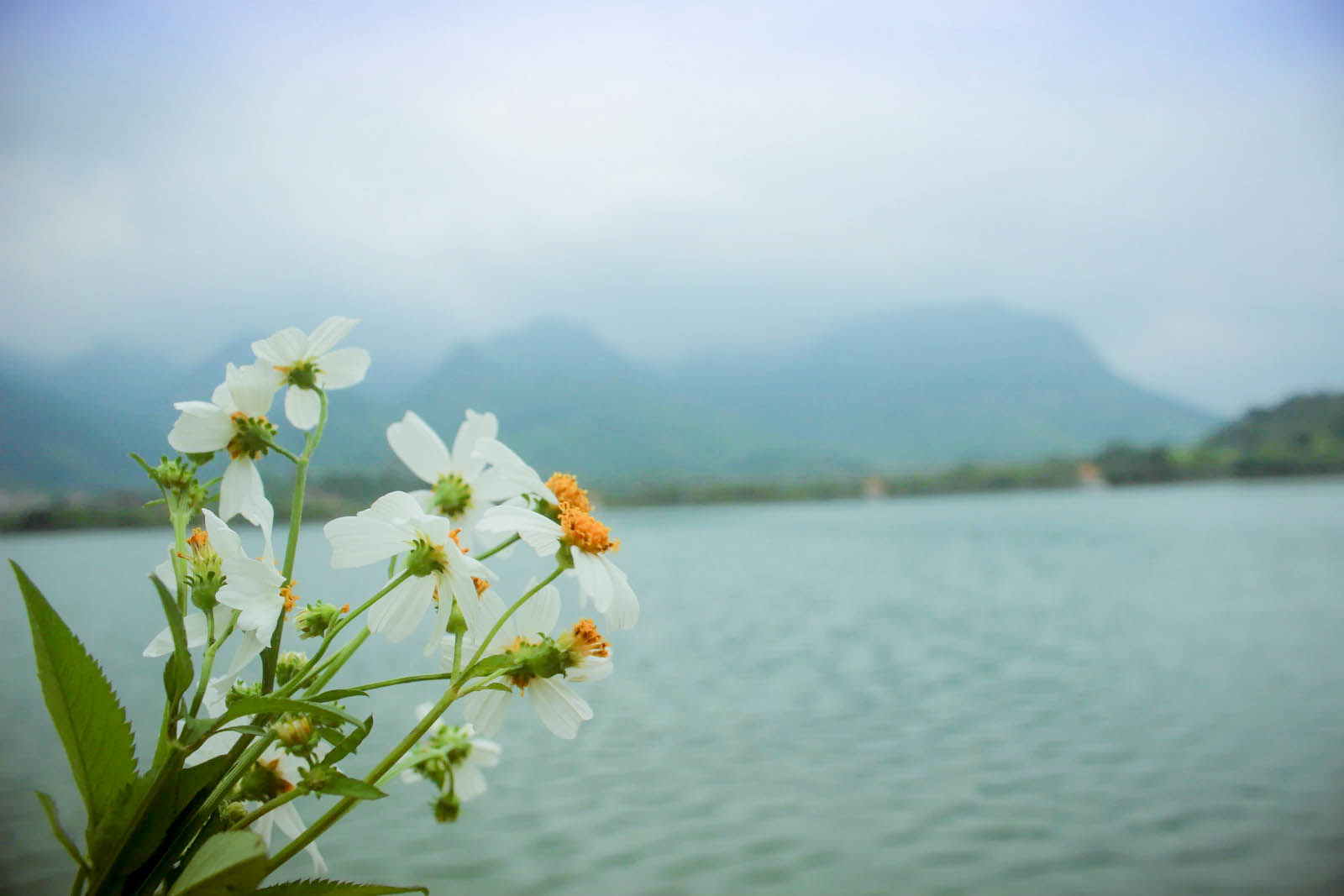 梦萱萱的个人主页（背景预览） - 主页背景设置 - 站酷设计师梦萱萱原创素材 - 站酷ZCOOL