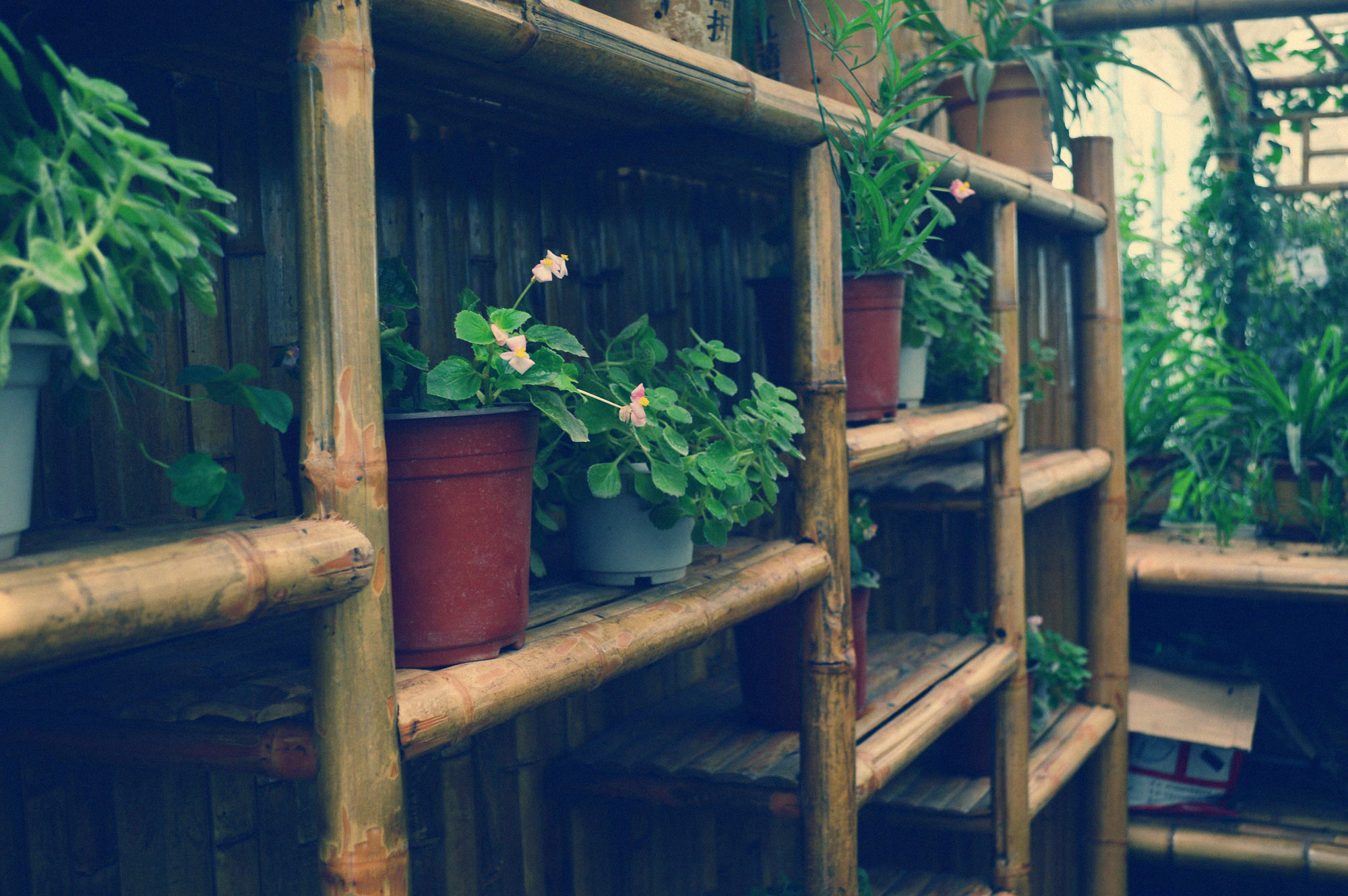 葵花子sunflower的个人主页（背景预览） - 主页背景设置 - 站酷设计师葵花子sunflower原创素材 - 站酷ZCOOL