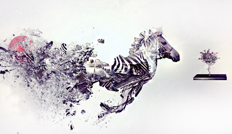 摄影师小怪猫的个人主页（背景预览） - 主页背景设置 - 站酷设计师摄影师小怪猫原创素材 - 站酷ZCOOL