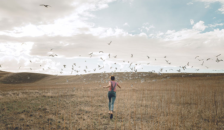 邹子木的个人主页（背景预览） - 主页背景设置 - 站酷设计师邹子木原创素材 - 站酷ZCOOL