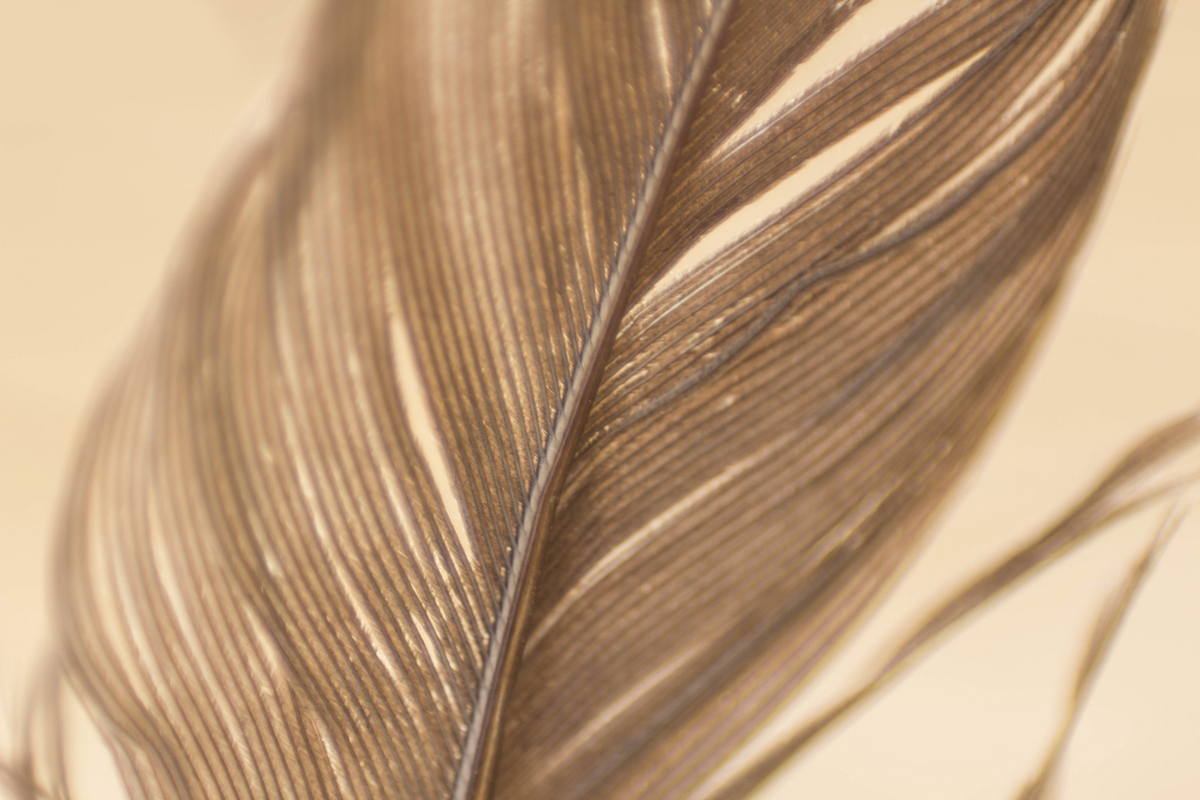 電商設計_Q的個人主頁（背景預覽） - 主頁背景設置 - 站酷設計師電商設計_Q原創(chuàng)素材 - 站酷ZCOOL