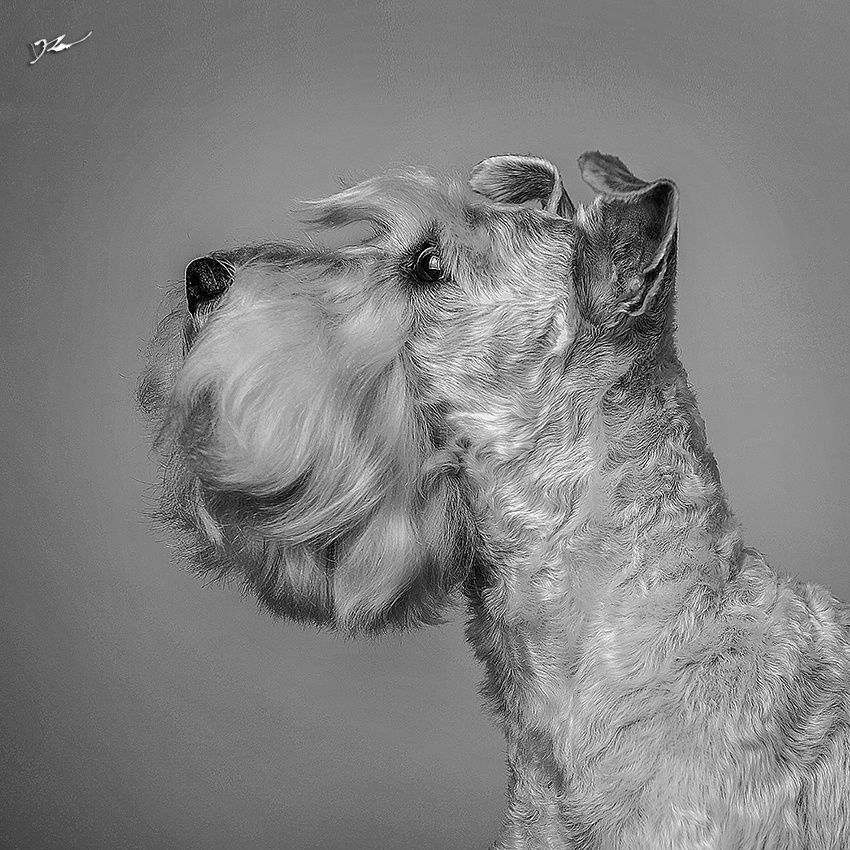 悲剧而帅气的个人主页（背景预览） - 主页背景设置 - 站酷设计师悲剧而帅气原创素材 - 站酷ZCOOL