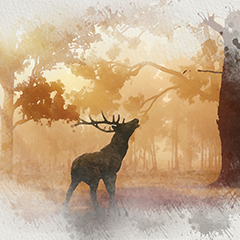 就这个feel的个人主页（背景预览） - 主页背景设置 - 站酷设计师就这个feel原创素材 - 站酷ZCOOL