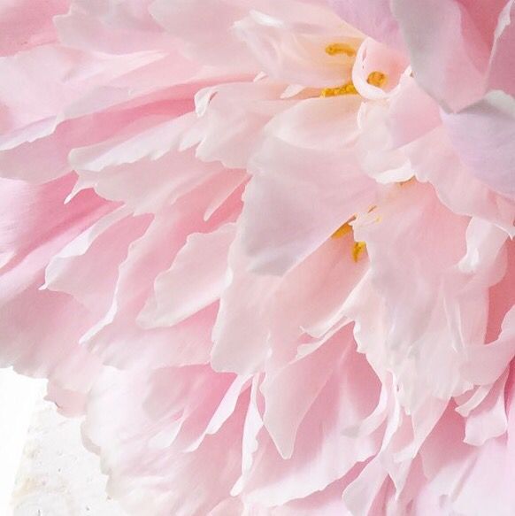 龍婕二創(chuàng)影之刃的個(gè)人主頁（背景預(yù)覽） - 主頁背景設(shè)置 - 站酷設(shè)計(jì)師龍婕二創(chuàng)影之刃原創(chuàng)素材 - 站酷ZCOOL