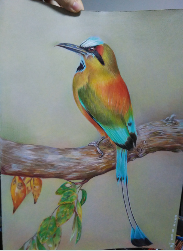 夏目侑子的个人主页（背景预览） - 主页背景设置 - 站酷设计师夏目侑子原创素材 - 站酷ZCOOL