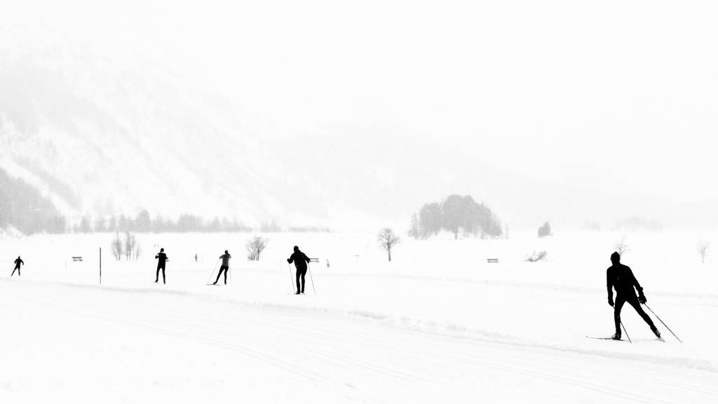 Seallll的个人主页（背景预览） - 主页背景设置 - 站酷设计师Seallll原创素材 - 站酷ZCOOL