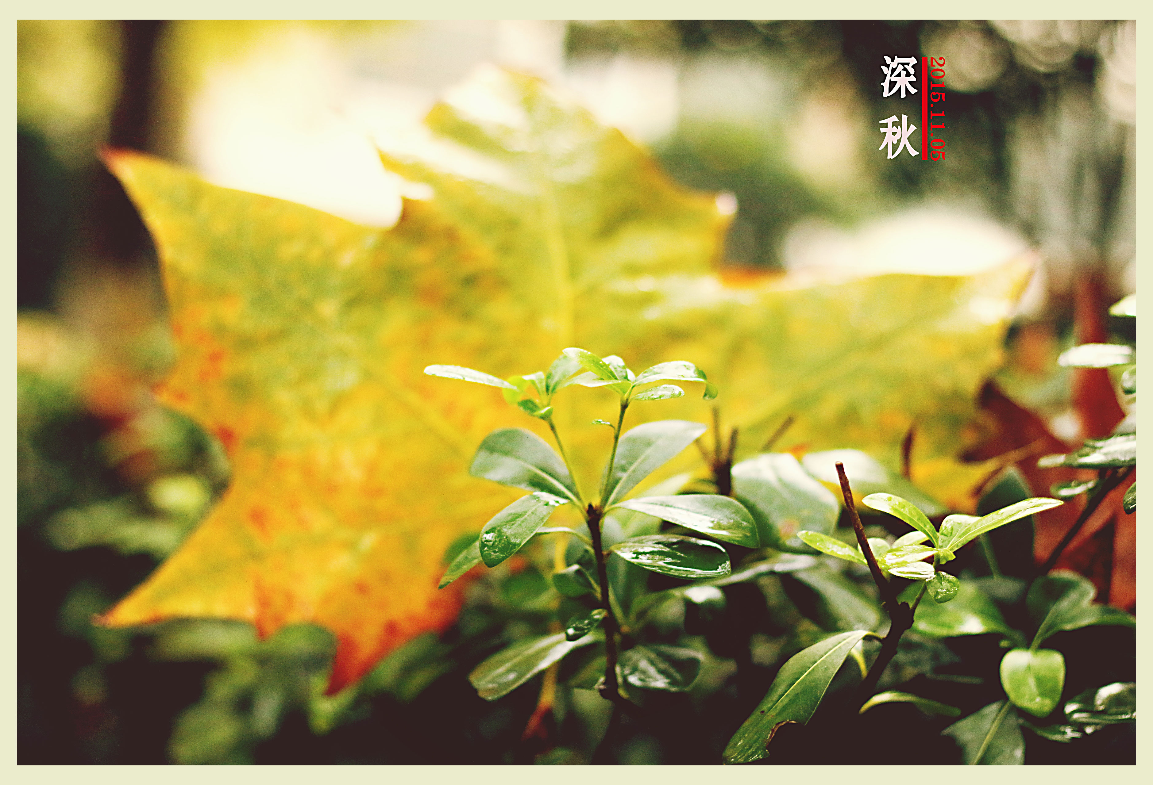 森徹的個(gè)人主頁(yè)（背景預(yù)覽） - 主頁(yè)背景設(shè)置 - 站酷設(shè)計(jì)師森徹原創(chuàng)素材 - 站酷ZCOOL