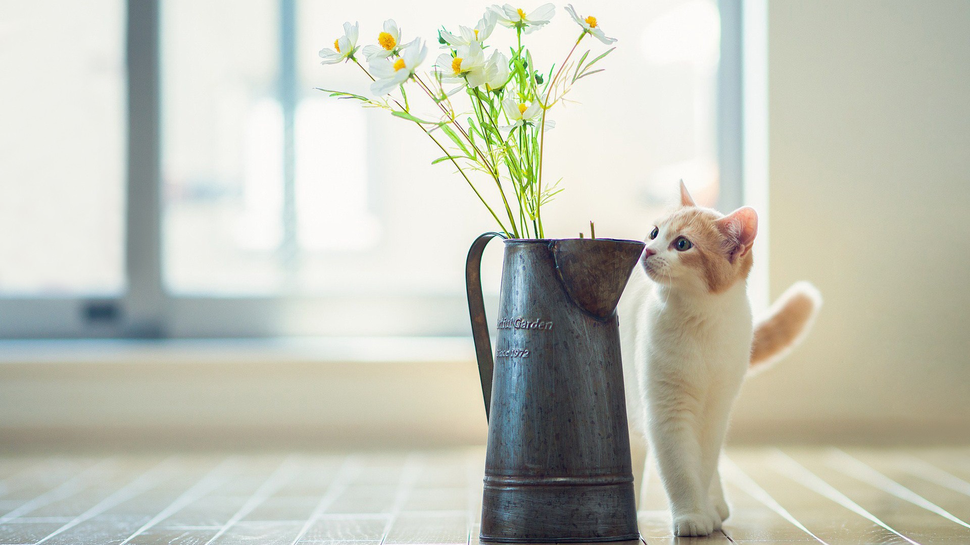 丶王在在的個人主頁（背景預(yù)覽） - 主頁背景設(shè)置 - 站酷設(shè)計(jì)師丶王在在原創(chuàng)素材 - 站酷ZCOOL