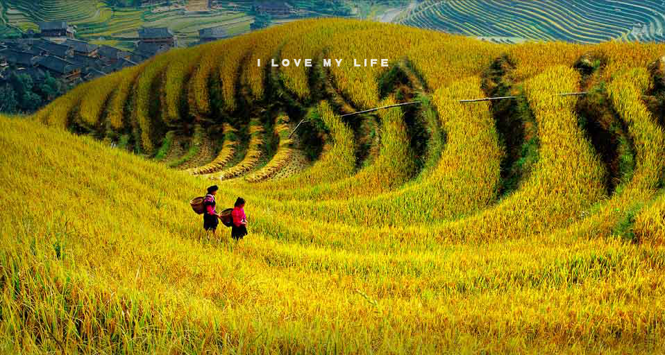 不是深藍(lán)的個(gè)人主頁(yè)（背景預(yù)覽） - 主頁(yè)背景設(shè)置 - 站酷設(shè)計(jì)師不是深藍(lán)原創(chuàng)素材 - 站酷ZCOOL