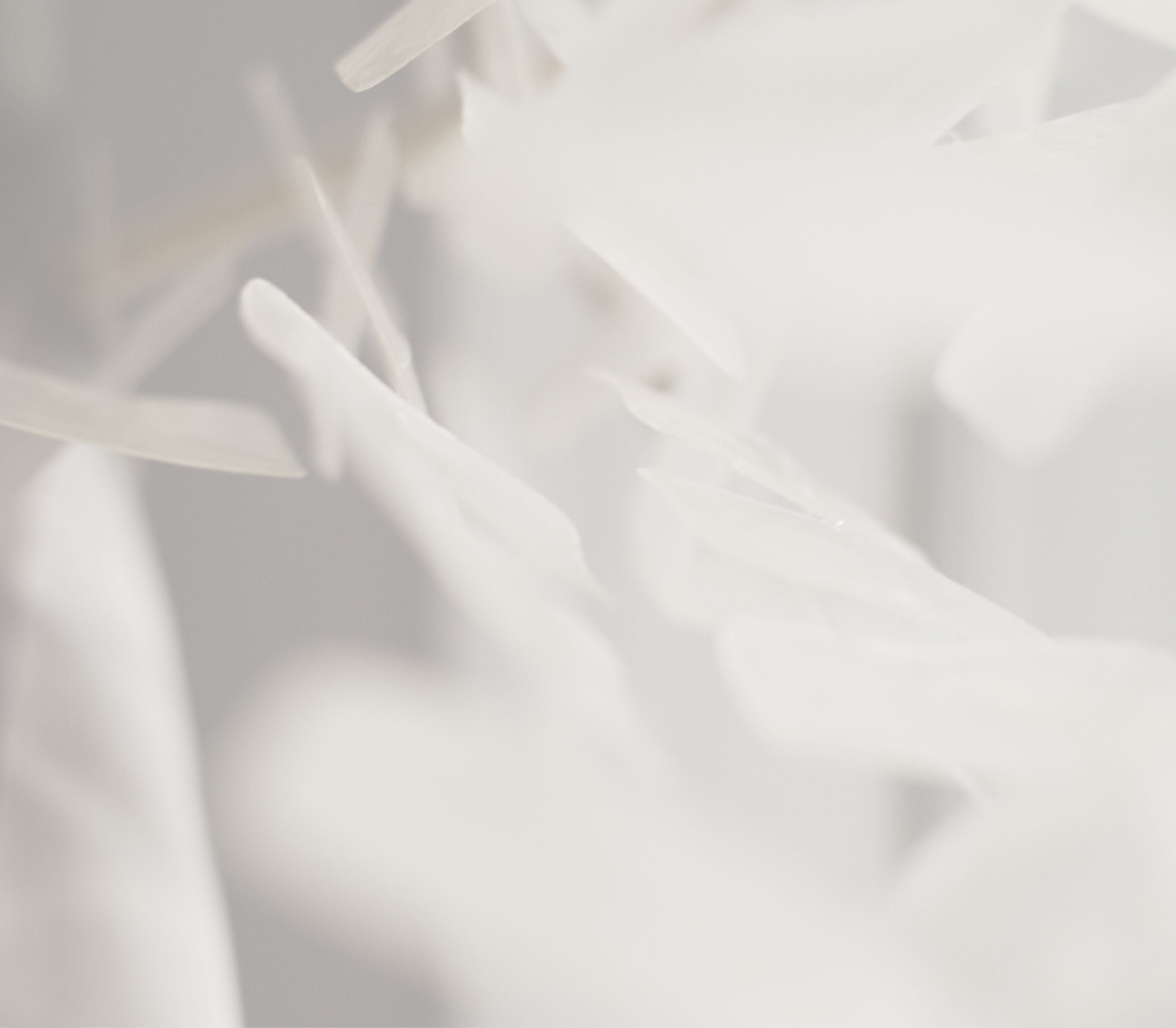 zq2zyj的个人主页（背景预览） - 主页背景设置 - 站酷设计师zq2zyj原创素材 - 站酷ZCOOL