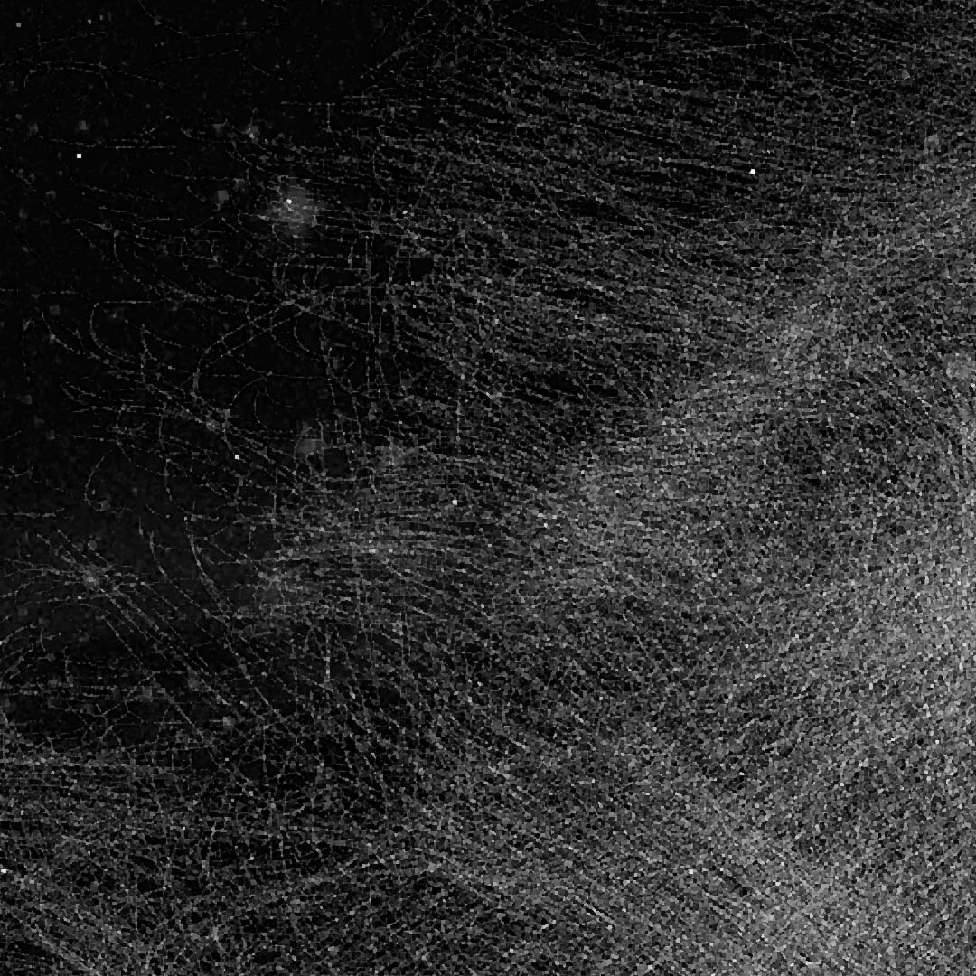 張大樹(shù)Q的個(gè)人主頁(yè)（背景預(yù)覽） - 主頁(yè)背景設(shè)置 - 站酷設(shè)計(jì)師張大樹(shù)Q原創(chuàng)素材 - 站酷ZCOOL