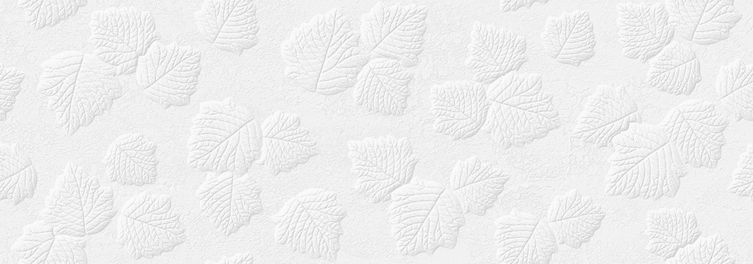 橙蓝i9的个人主页（背景预览） - 主页背景设置 - 站酷设计师橙蓝i9原创素材 - 站酷ZCOOL