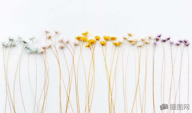 DYP666的個(gè)人主頁(yè)（背景預(yù)覽） - 主頁(yè)背景設(shè)置 - 站酷設(shè)計(jì)師DYP666原創(chuàng)素材 - 站酷ZCOOL