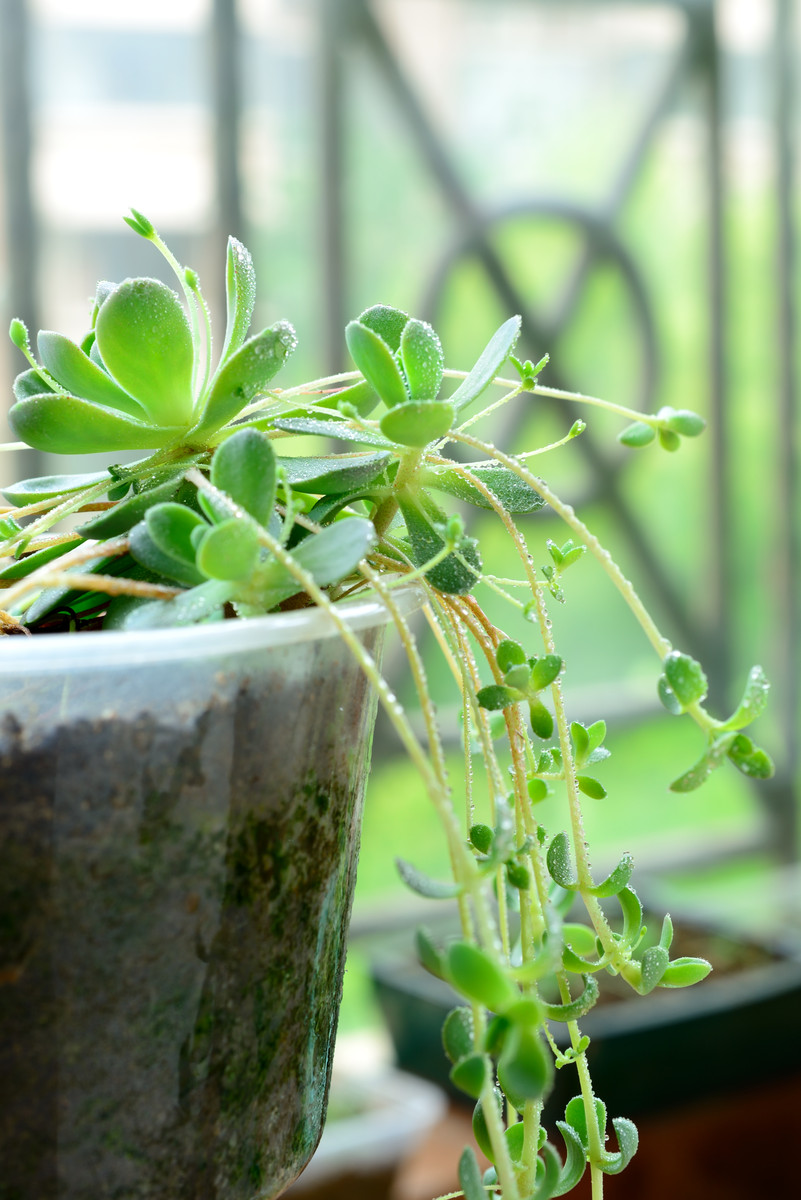 流浪吉拔猫的个人主页（背景预览） - 主页背景设置 - 站酷设计师流浪吉拔猫原创素材 - 站酷ZCOOL
