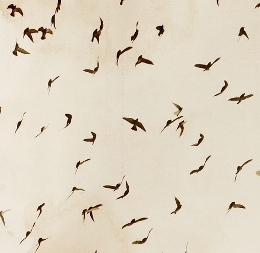 Dimorphous的个人主页（背景预览） - 主页背景设置 - 站酷设计师Dimorphous原创素材 - 站酷ZCOOL