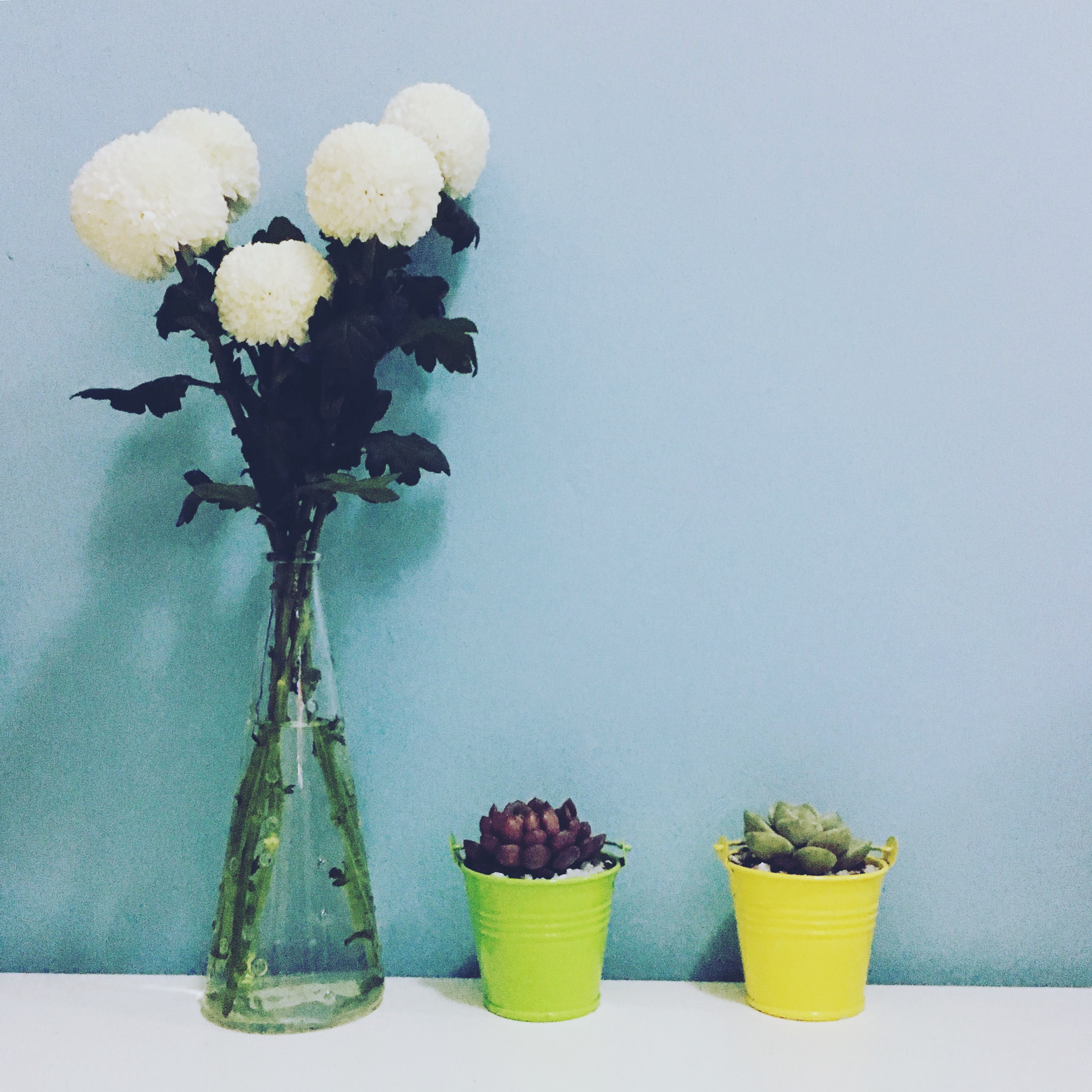 Amberr顾北源的个人主页（背景预览） - 主页背景设置 - 站酷设计师Amberr顾北源原创素材 - 站酷ZCOOL