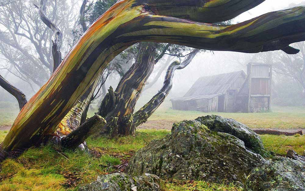 Soleil_Sun的个人主页（背景预览） - 主页背景设置 - 站酷设计师Soleil_Sun原创素材 - 站酷ZCOOL