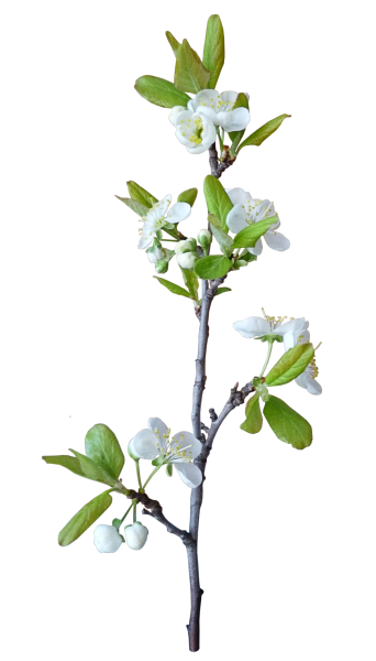 mjmoney的个人主页（背景预览） - 主页背景设置 - 站酷设计师mjmoney原创素材 - 站酷ZCOOL